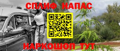 ГАЛЛЮЦИНОГЕННЫЕ ГРИБЫ Бийск